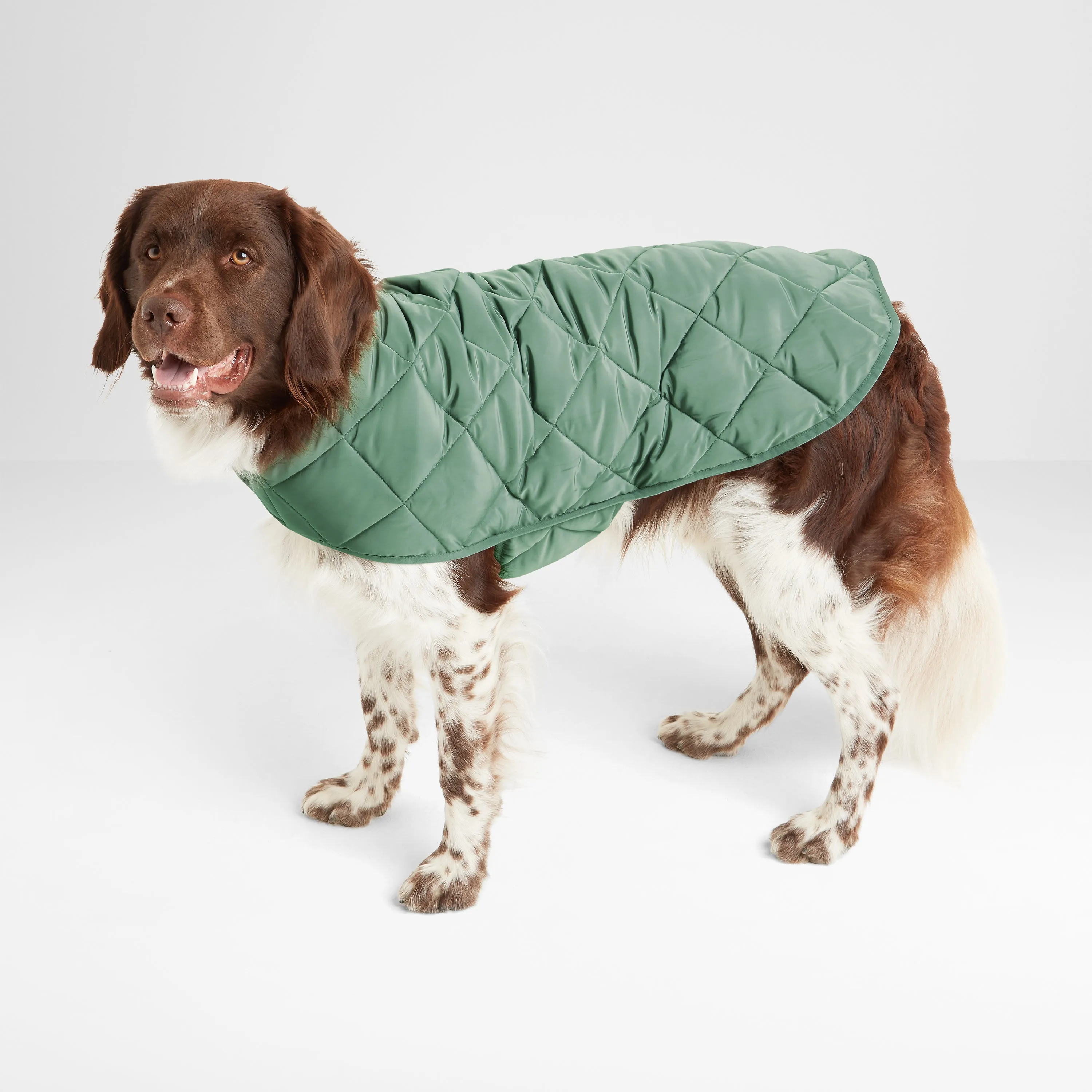 Fido Padded Dog Coat M - Faded Khaki