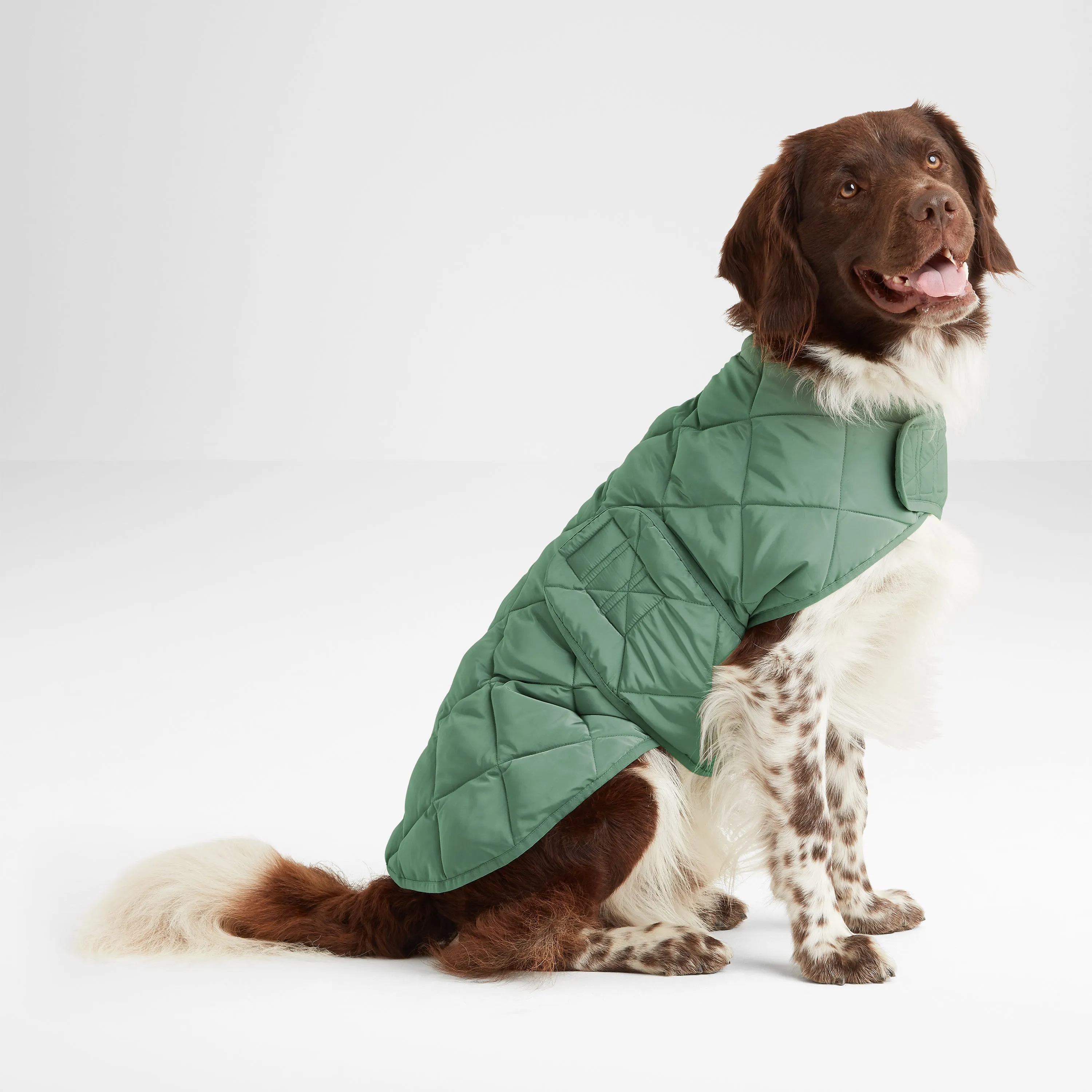 Fido Padded Dog Coat M - Faded Khaki