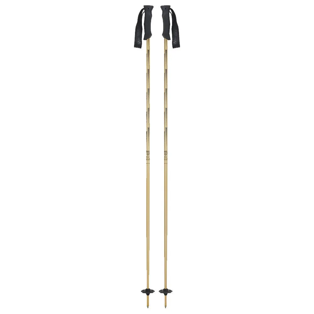 Firmo Ski Poles