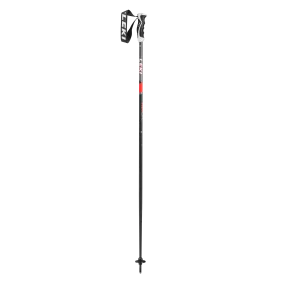 Neolite Ski Poles