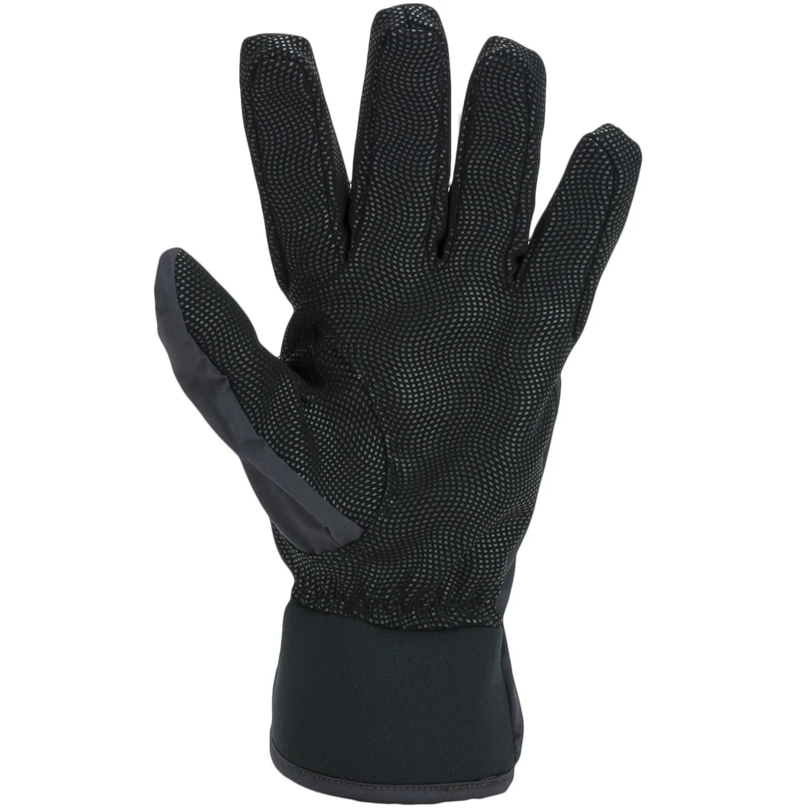 Sealskinz Waterproof All Weather Gloves - Black