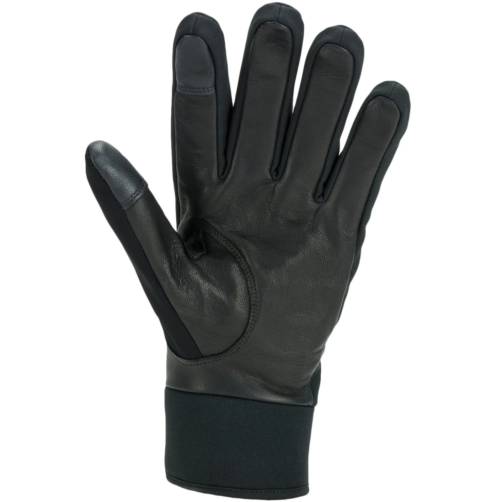 Sealskinz Waterproof All Weather Insulated Gloves