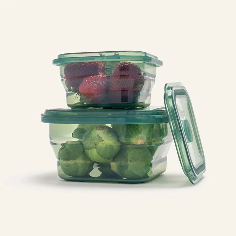 Seed & Sprout Collapsible Lunch Box Set