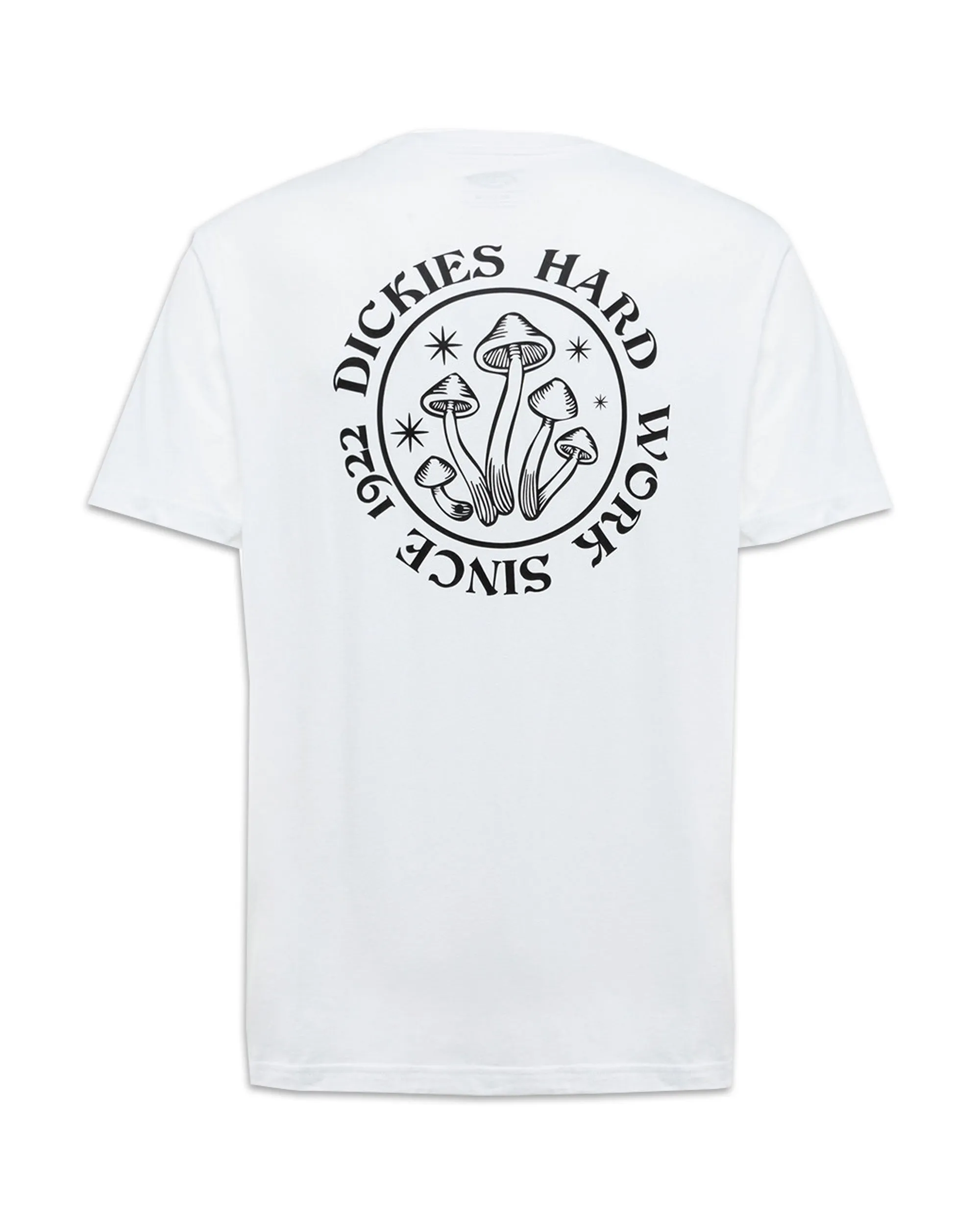 T-Shirt Uomo Dickies Bayside Gardens Tee White