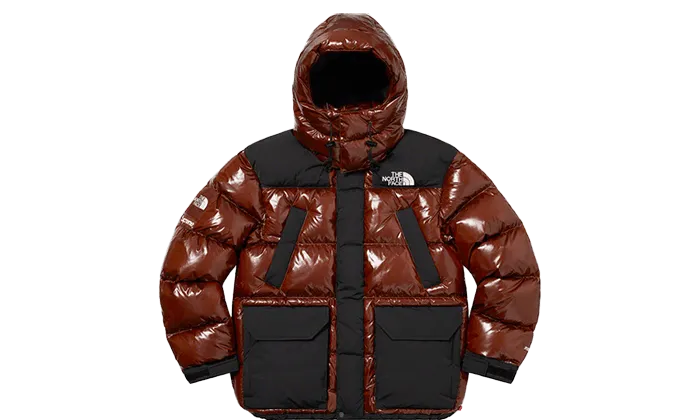 The North Face 700-Fill Down Parka Brown