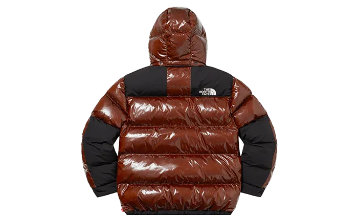 The North Face 700-Fill Down Parka Brown