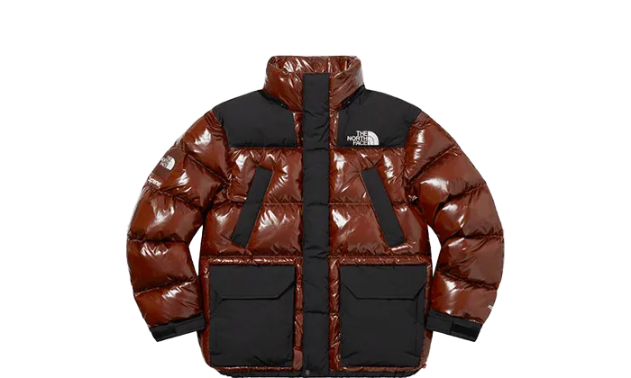 The North Face 700-Fill Down Parka Brown