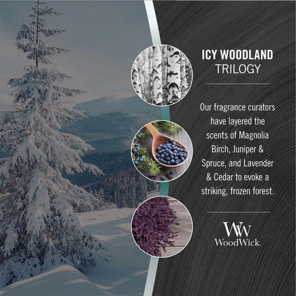 WoodWick Icy Woodland Trilogy Candle Crackles As It Burns Ellipse Hearthwick